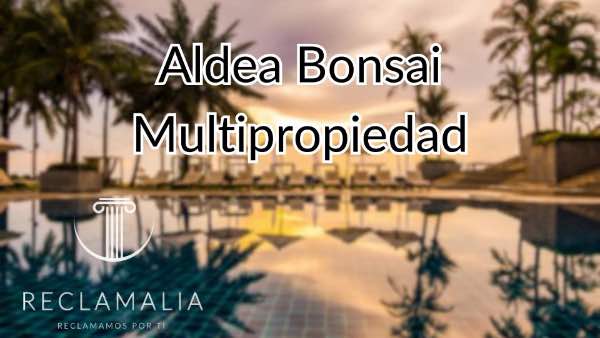 Aldea-Bonsai